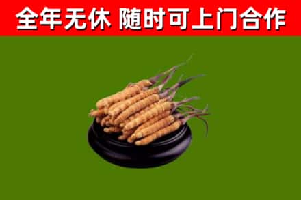 高青县烟酒回收冬虫夏草.jpg